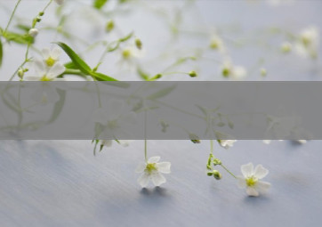 亞娛 ag 官方網(wǎng)站：帶你領(lǐng)略游戲的魅力世界-AG亞娛