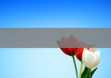 亞娛ag官網(wǎng)